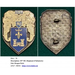 107° RI (Régiment...