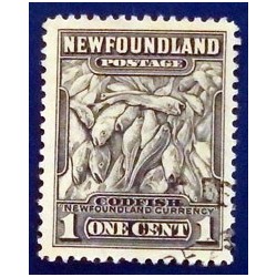 Newfoundland (Terre-Neuve )...